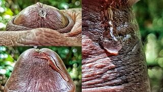 Horny Solo Male with Gigantic BBC is Obsess with Playing with his Precum Extreme Close up Precum Play HD