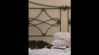 Anal Inflable And Plug Extremo Sex